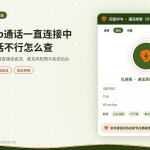 开着闪连VPN时WhatsApp通话失败的处理示意图